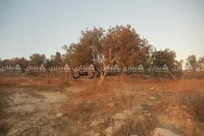 قطعة ارض فاخرة للبيع في منطقة جميلة وهادئة قطعة ارض فاخرة للبيع في منطقة جميلة وهادئة